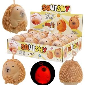 capybara sensory toy